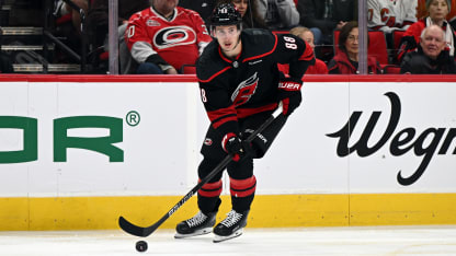 毛球锦标赛 毛球锦标赛