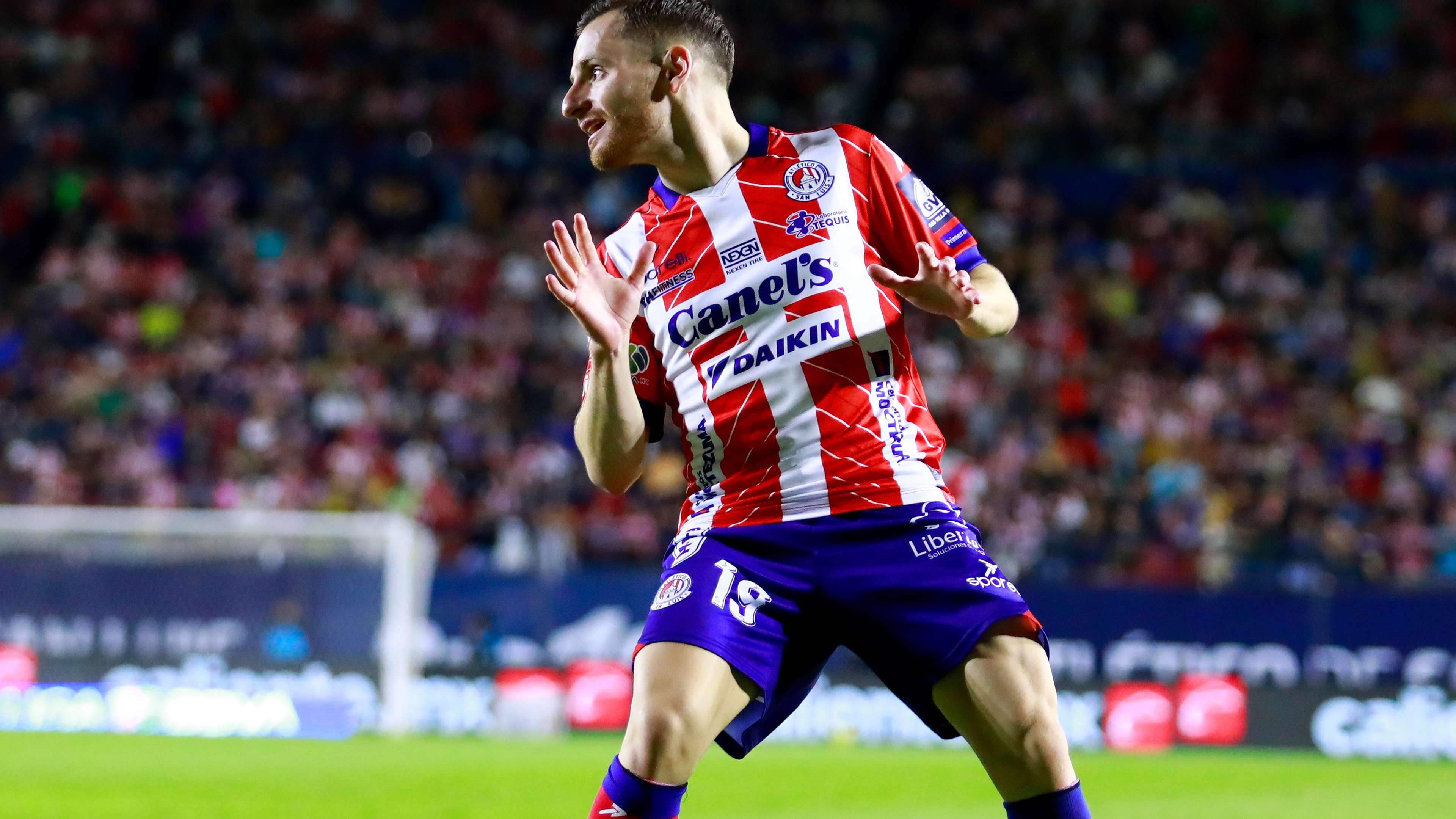 组织上更加 组织上更加