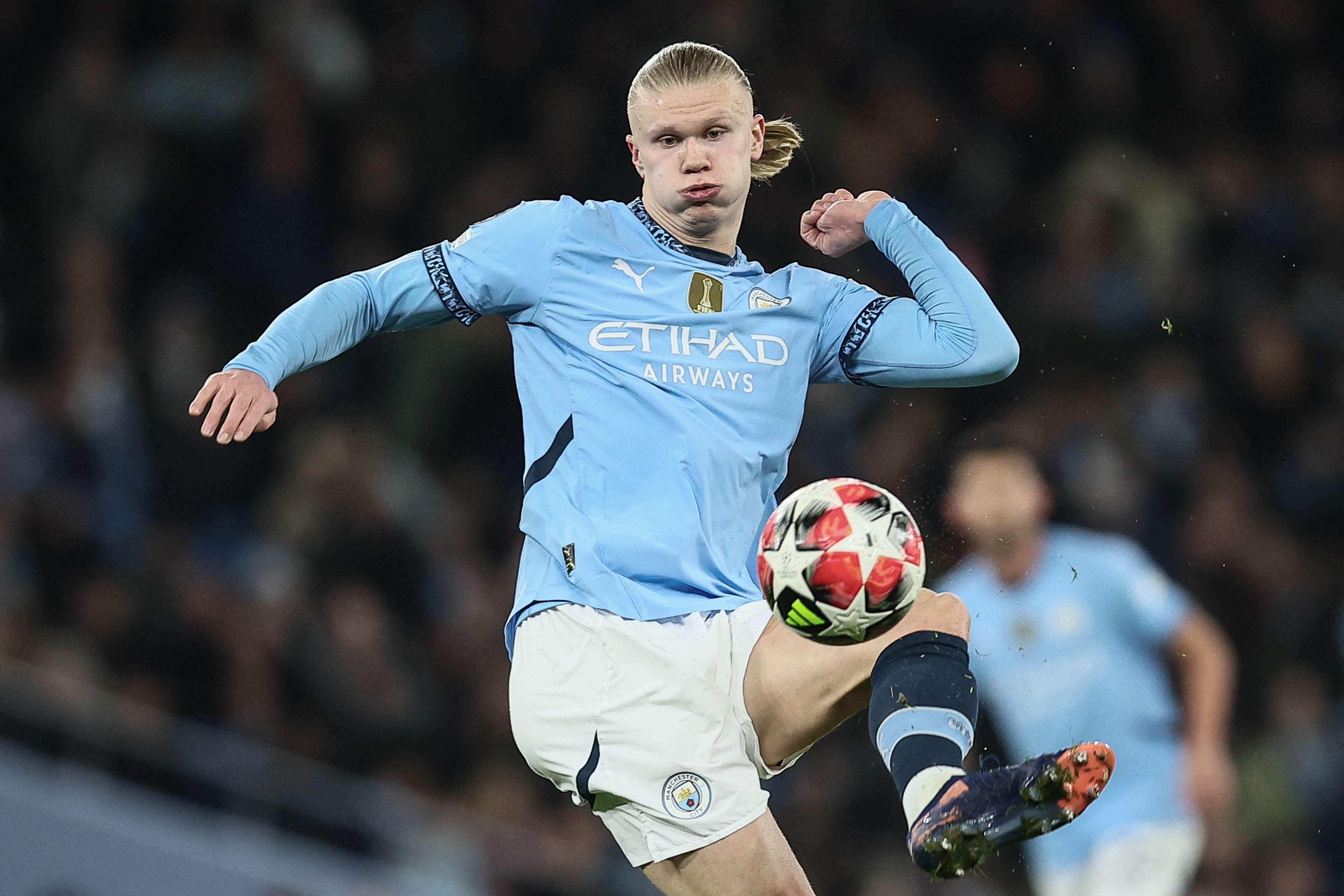 但凭借顽强 但凭借顽强